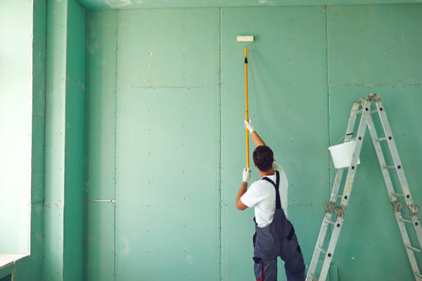 Dehumidification Services in Temperance, MI